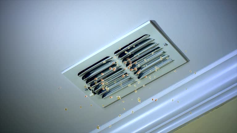 Best Affordable Duct Cleaning Services  in Bushnell, FL