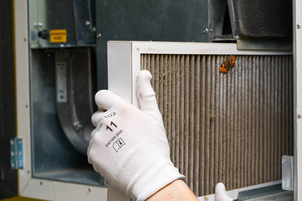 Best Commercial HVAC Duct Cleaning  in Bushnell, FL