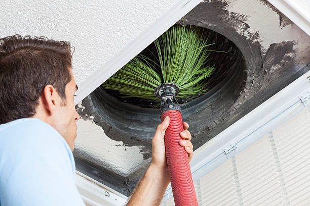 Best Duct Cleaning for Offices  in Bushnell, FL