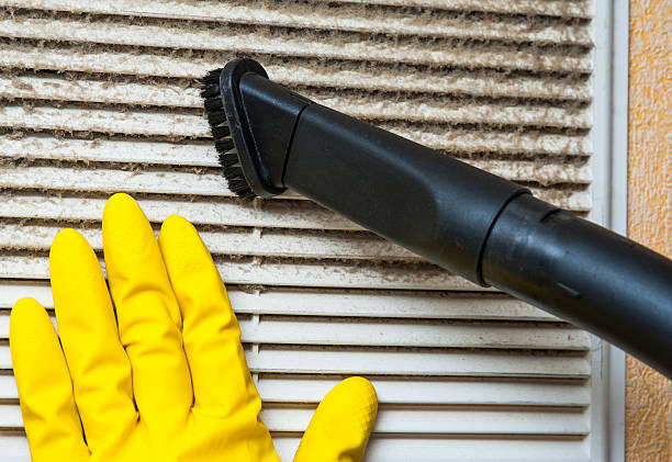 Best Professional Duct Cleaning Services  in Bushnell, FL